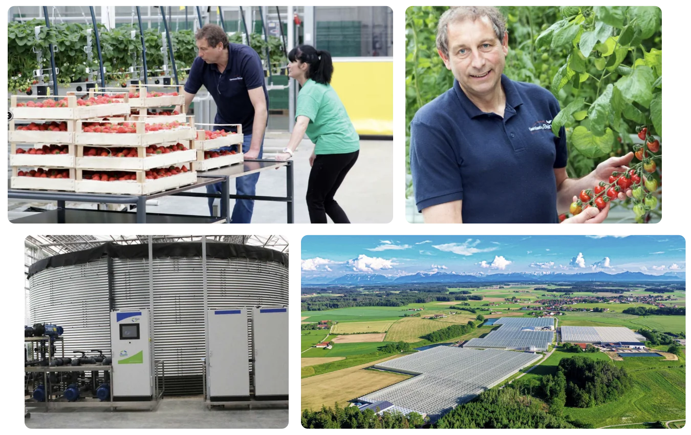 Gemüsebau Steiner: Erdbeerernte, Tomatenanbau, Technikraum und Gewächshausanlage aus der Luft